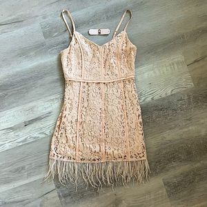 NWT GB Lace Feather Trim dress